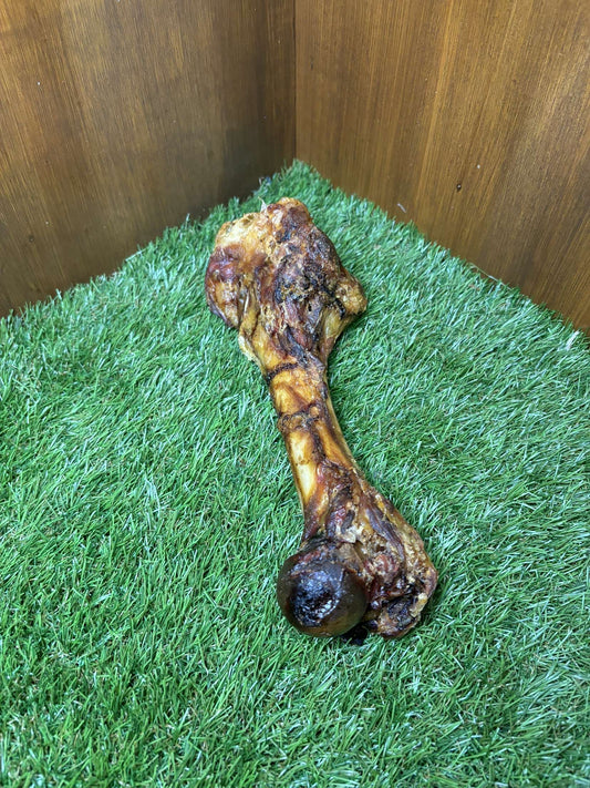 Pork Femur Bone