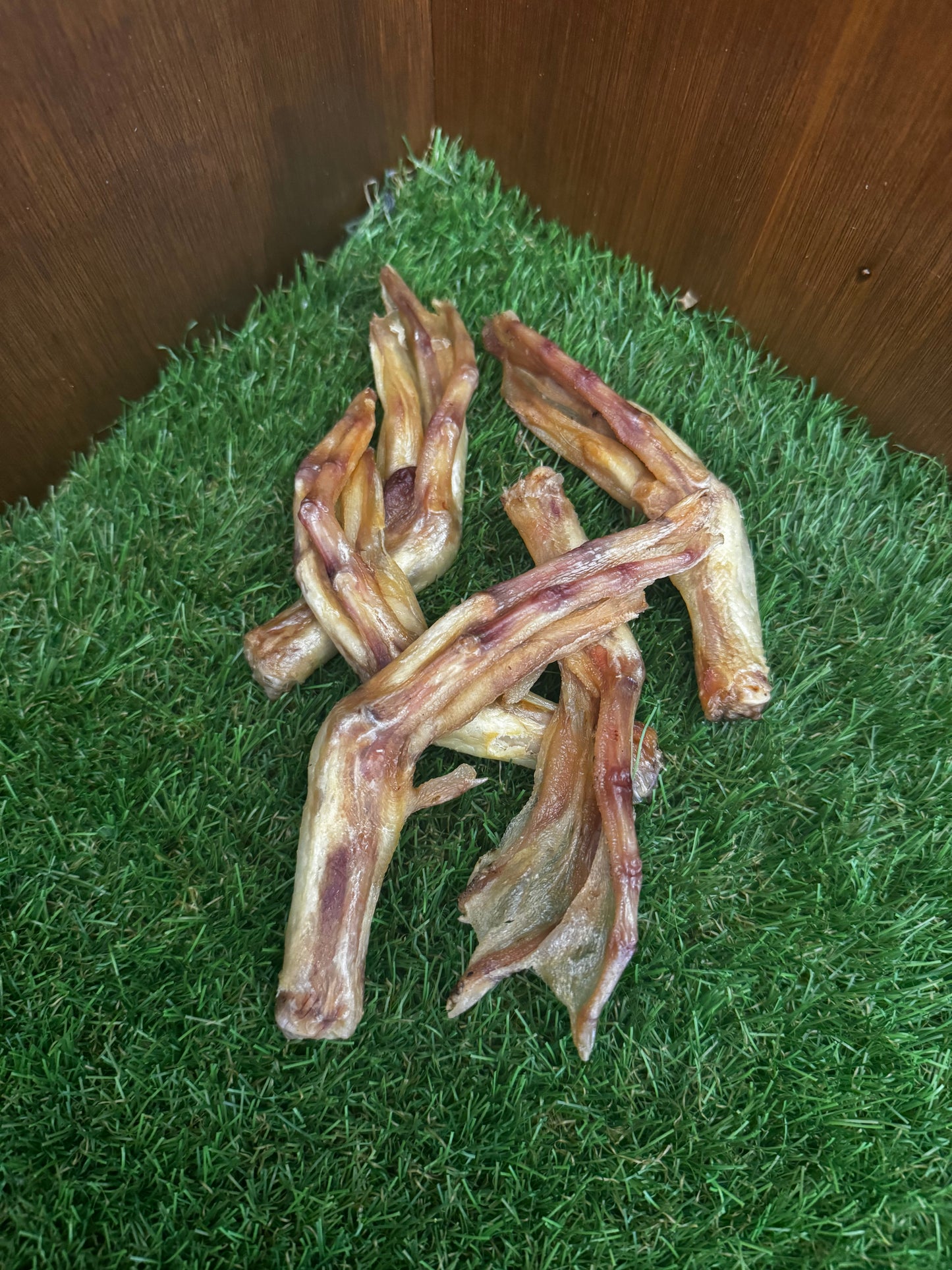 Duck Feet 5 Pack