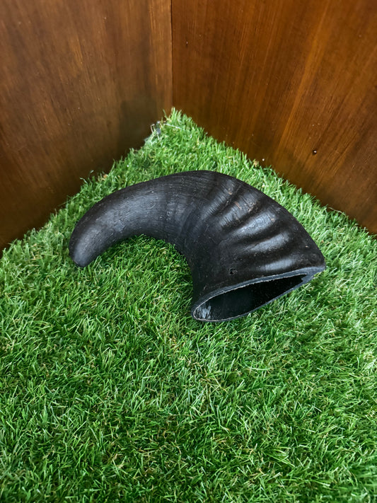 Medium Buffalo Horn