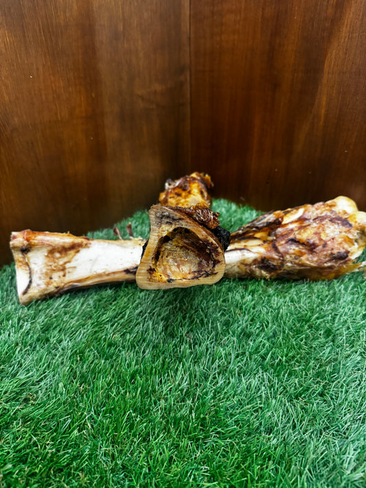 Postman's Leg Bone