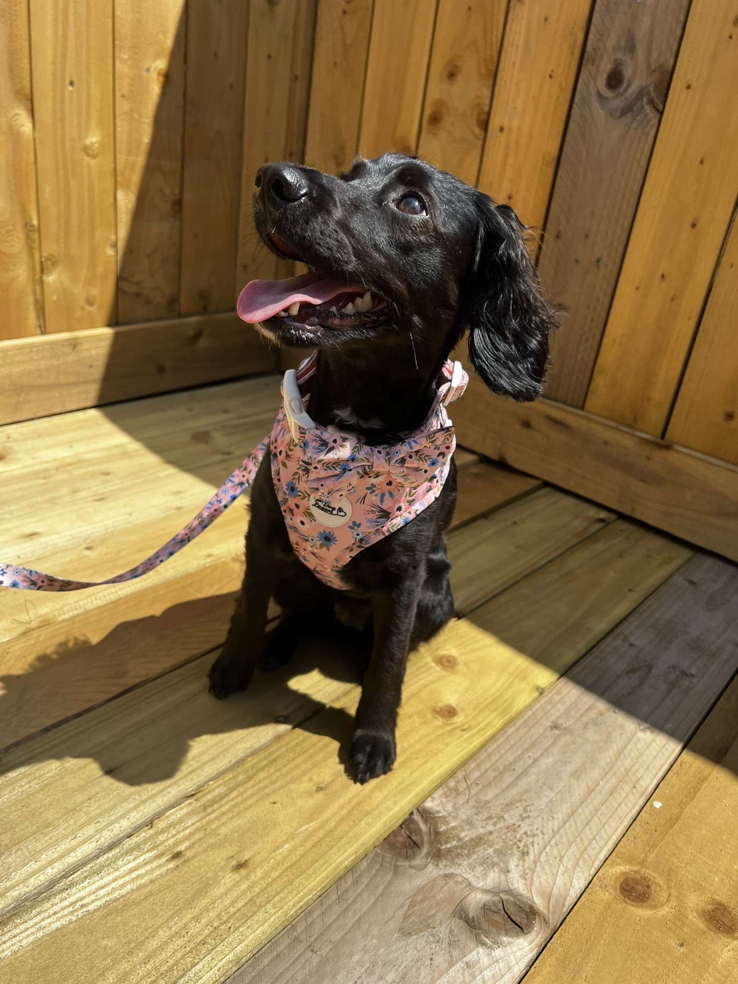 Summer Flower Collar