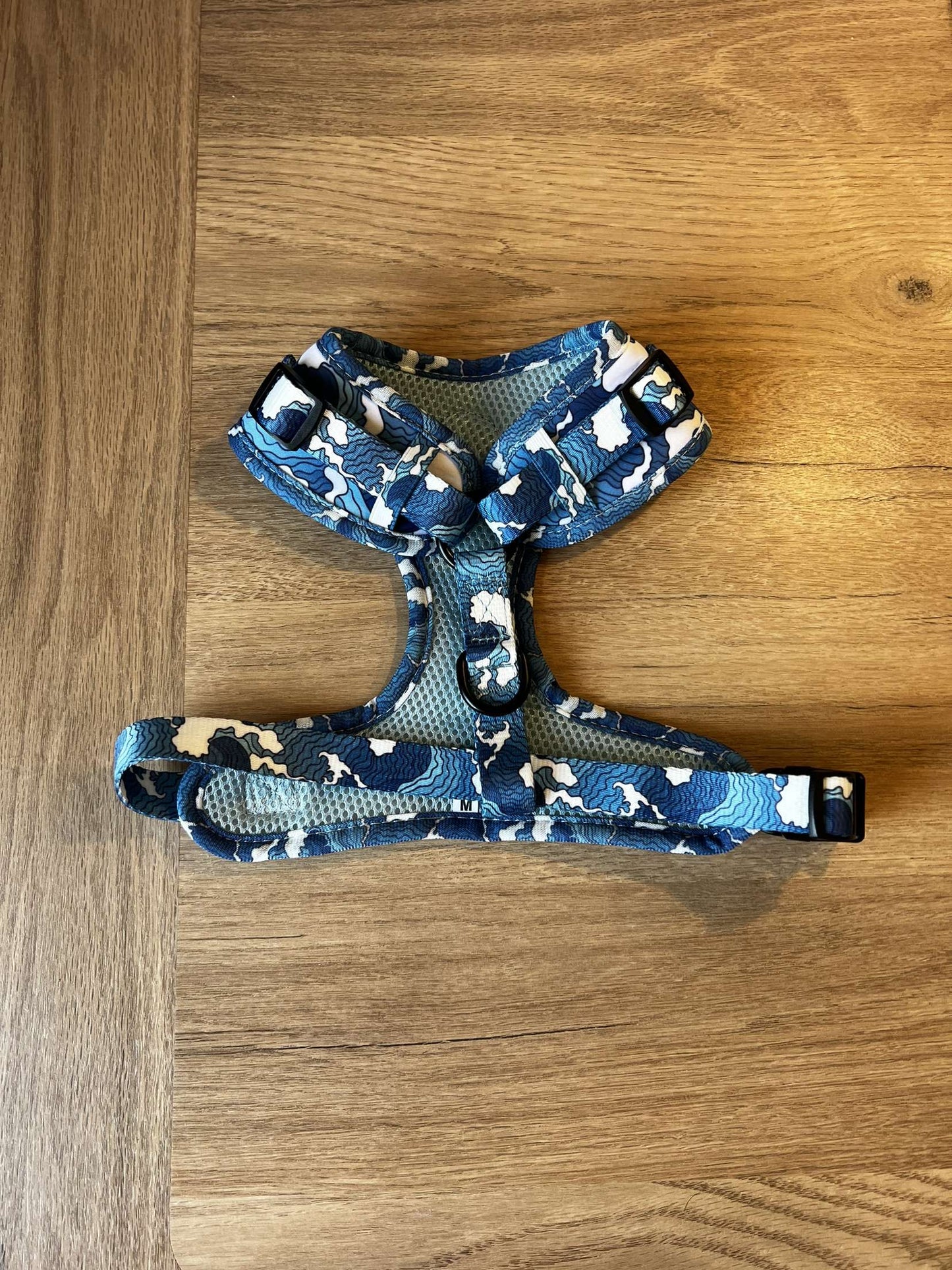 Ocean Blue Harness