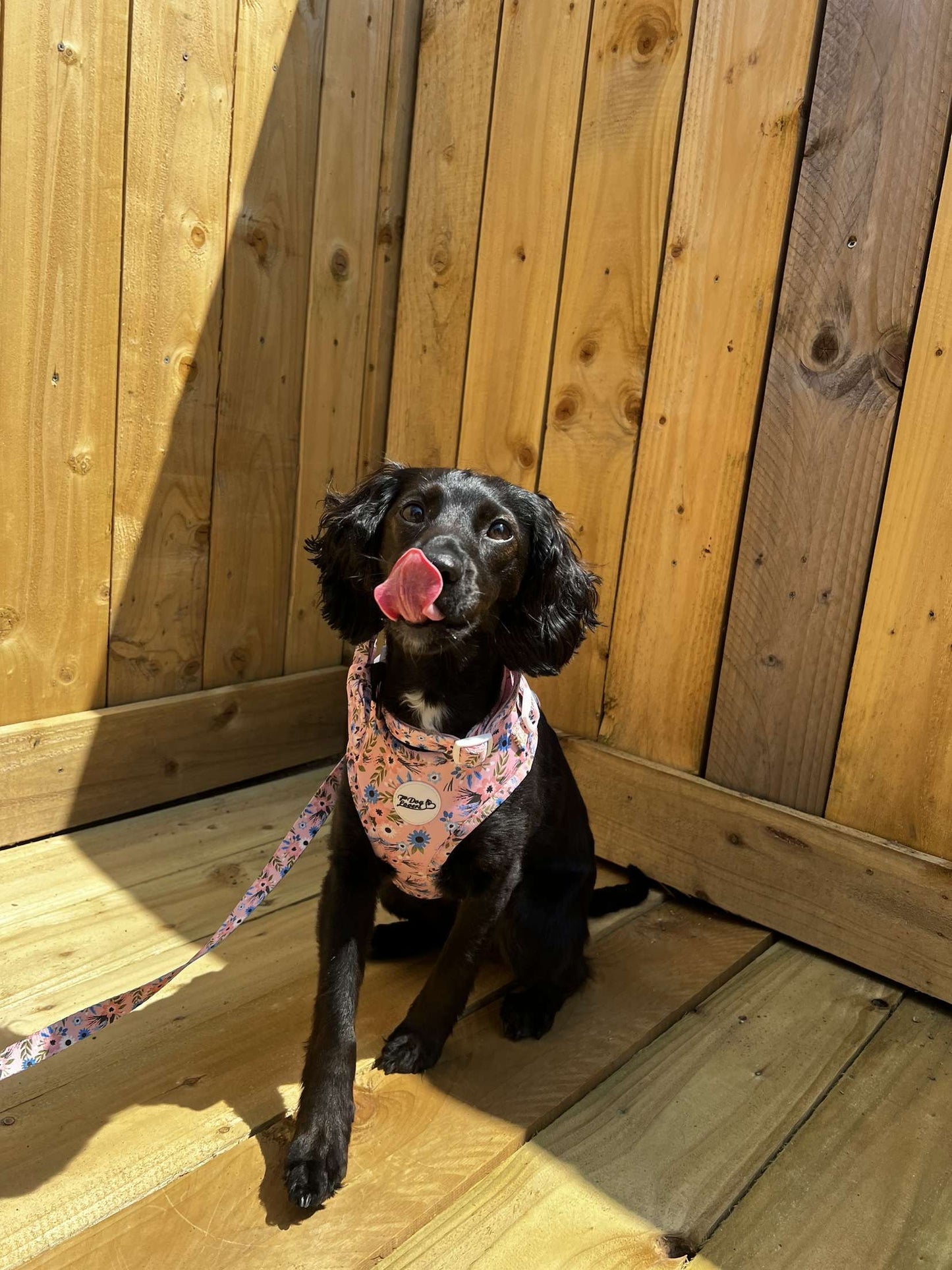 Summer Flower Harness